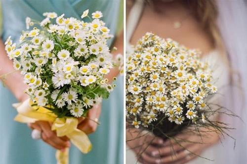 Các loại hoa màu nào thường được sử dụng làm hoa cưới cầm tay và chúng có ý nghĩa gì?